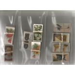 WD and HO Wills Cigarette card collection. Part sets. 1938 air raid protection 16 cards, 1938 the