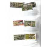 Brooke bond cigarette card collection. Large quantity. Good condition. We combine postage on