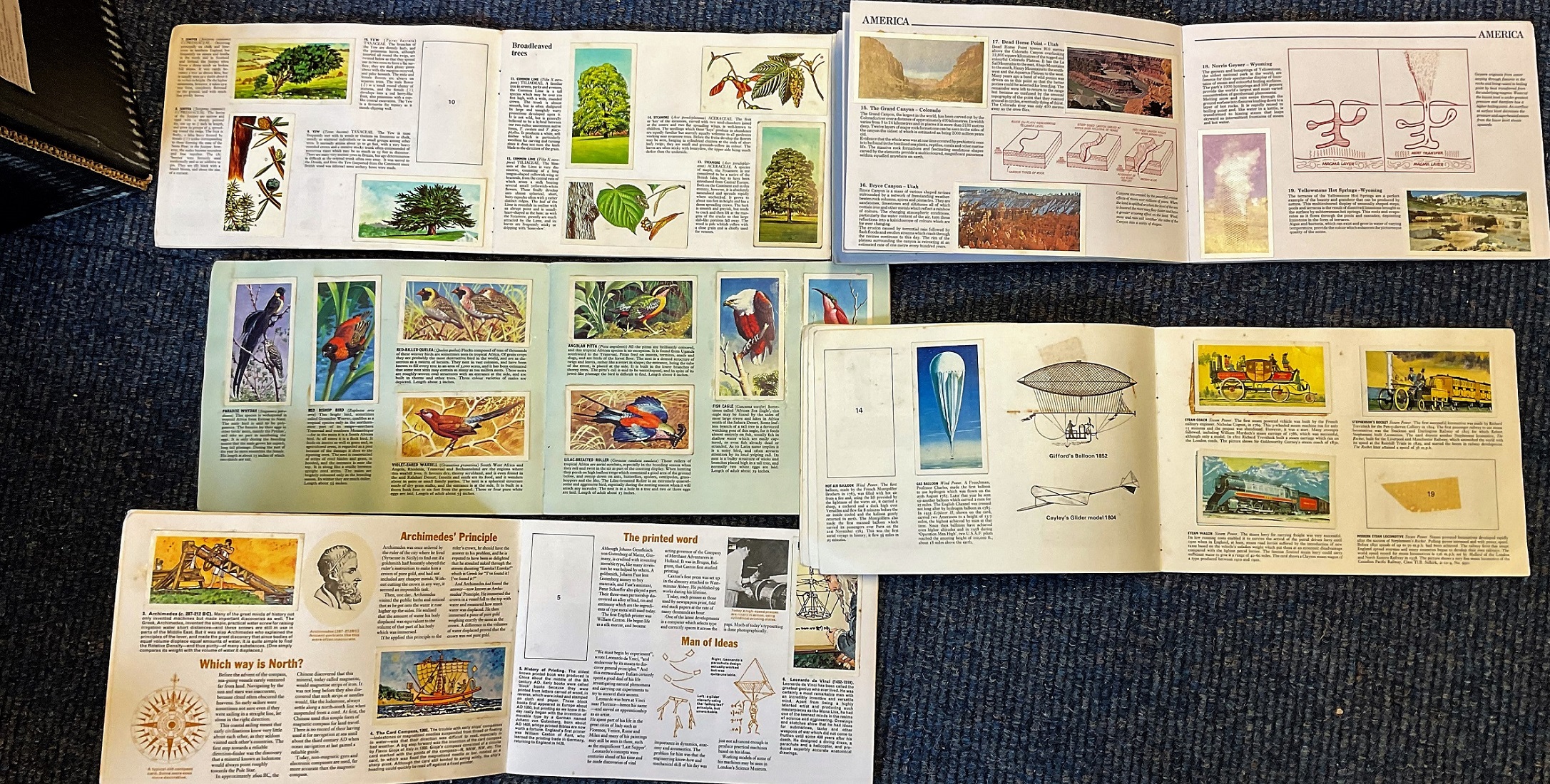 5 x Brooke Bond / PG Tips Picture Card Books, Part Sets, Including Features of the World (Part),