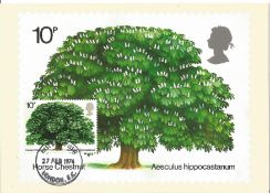 PHQ Card Number 5 Used, Horse Chestnut with Stamp and FDI Postmark 1974. Good condition. We