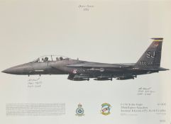 Desert Storm 1991 12x17 F-15E Strike Eagle 336th Fighter Squadron Seymour Johnson AFB, North