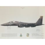 Desert Storm 1991 12x17 F-15E Strike Eagle 336th Fighter Squadron Seymour Johnson AFB, North