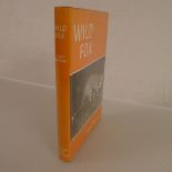 Wild Fox: A Complete Study of the Red Fox by Roger Burrows with many photographs / illustrations