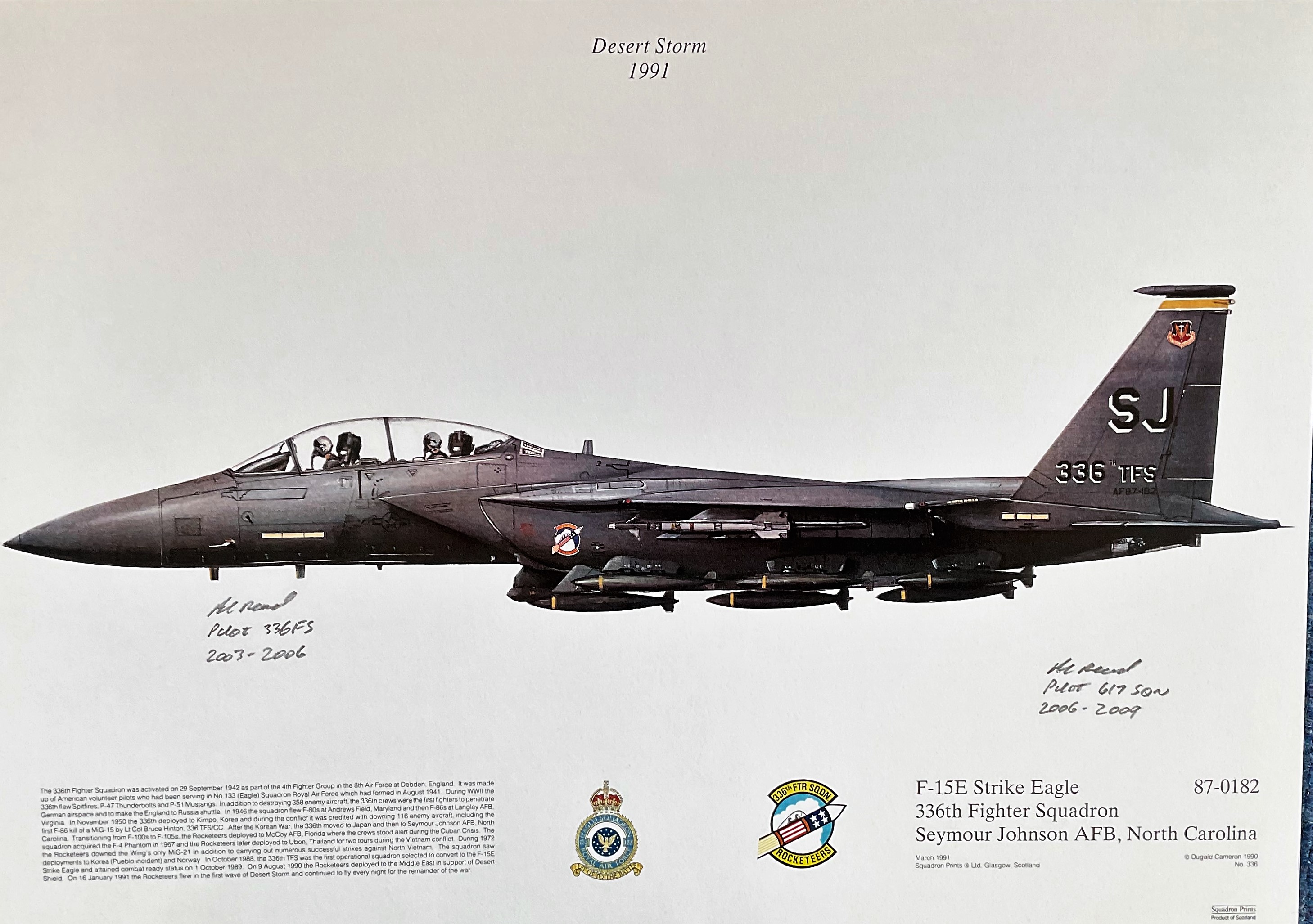 Desert Storm 1991 12x17 F-15E Strike Eagle 336th Fighter Squadron Seymour Johnson AFB, North