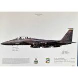 Desert Storm 1991 12x17 F-15E Strike Eagle 336th Fighter Squadron Seymour Johnson AFB, North