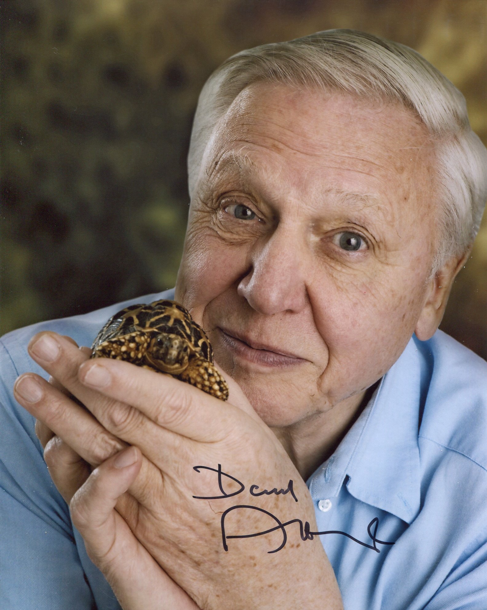 Sir David Attenborough, stunning 8x10 photo signed by David Attenborough. Good condition. All