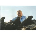 David Attenborough signed 10x8 colour photo. David Attenborough is a national British Hero known for