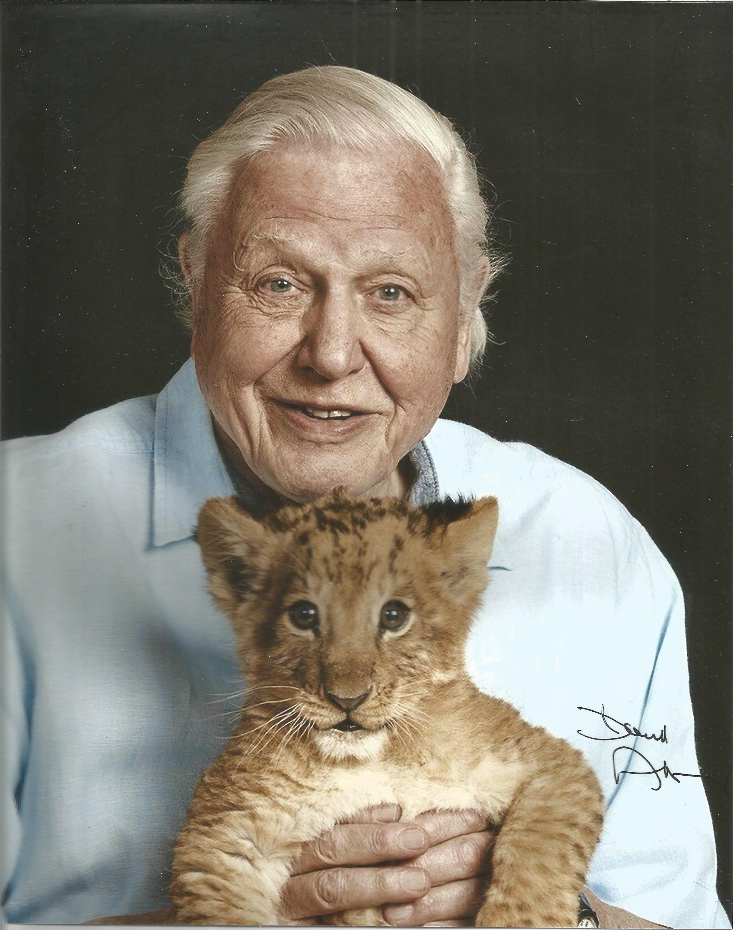 David Attenborough signed 10x8 colour photo. David Attenborough is a national British Hero known for