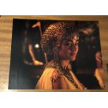 Golshifteh Farahani actor signed 10 x 8 inch Colour Photo. Rahavard Farahani, known professionally