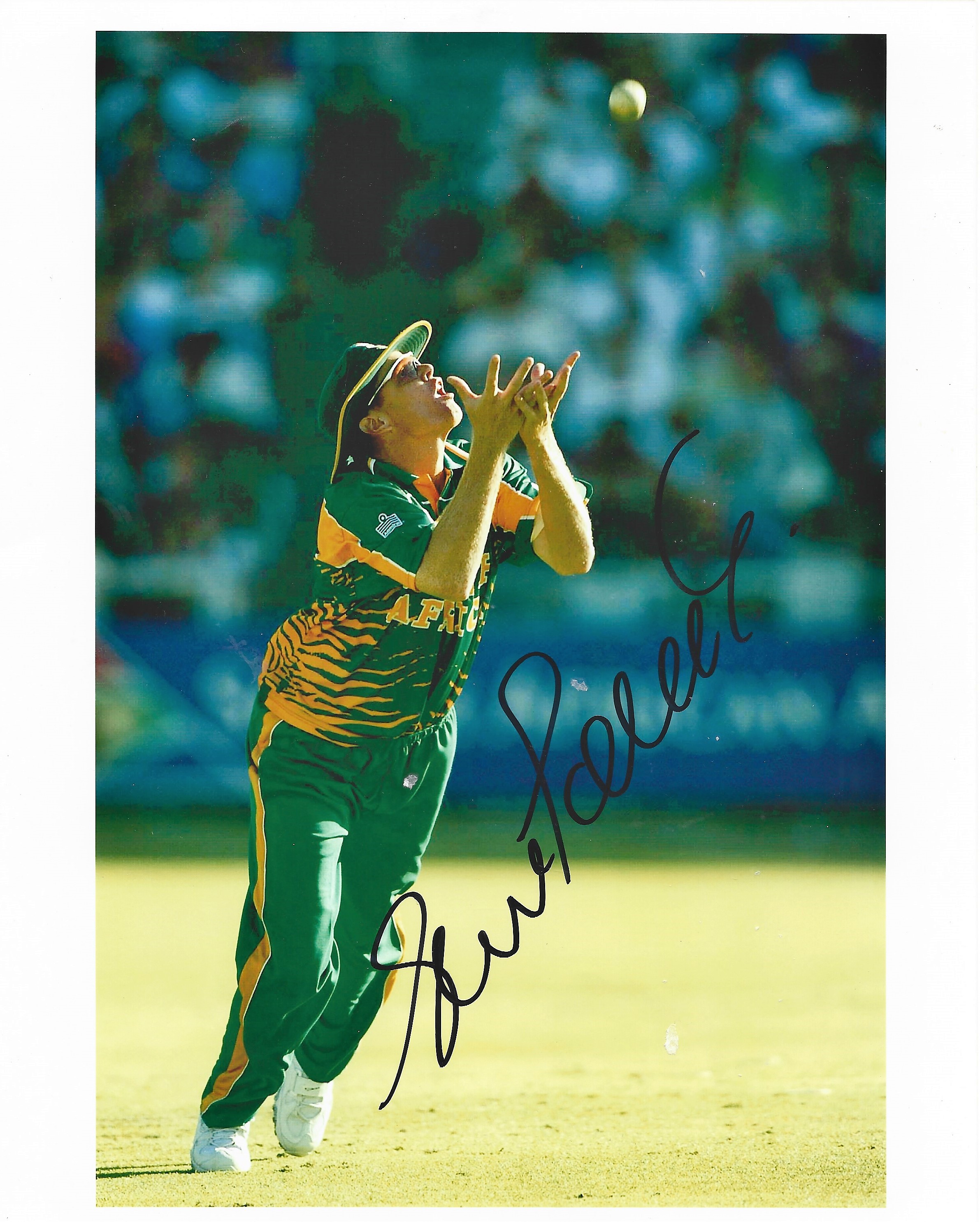 Cricket Shaun Pollock signed 10x8 South Africa colour photo.
