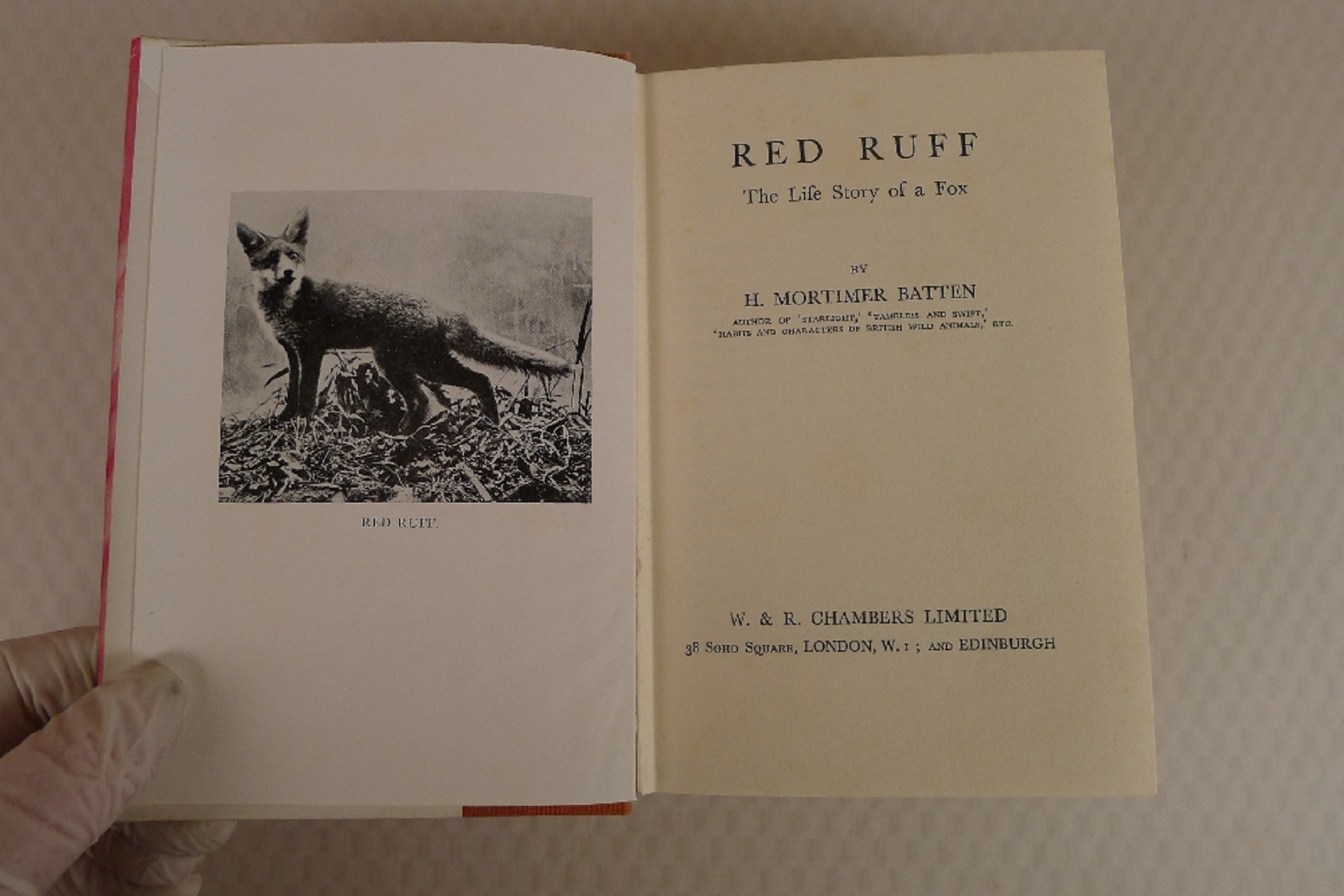 4 x various vintage hardback books on foxes comprising For the Love of a Wild Thing by Ern Dudley - Image 11 of 11