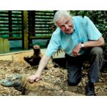 David Attenborough signed 10x8 inch colour photo. Sir David Frederick Attenborough {born 8 May