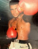 Boxing Muhammad Ali signed 18x16 colour photo. Muhammad Ali ( born Cassius Marcellus Clay Jr. ;[4]