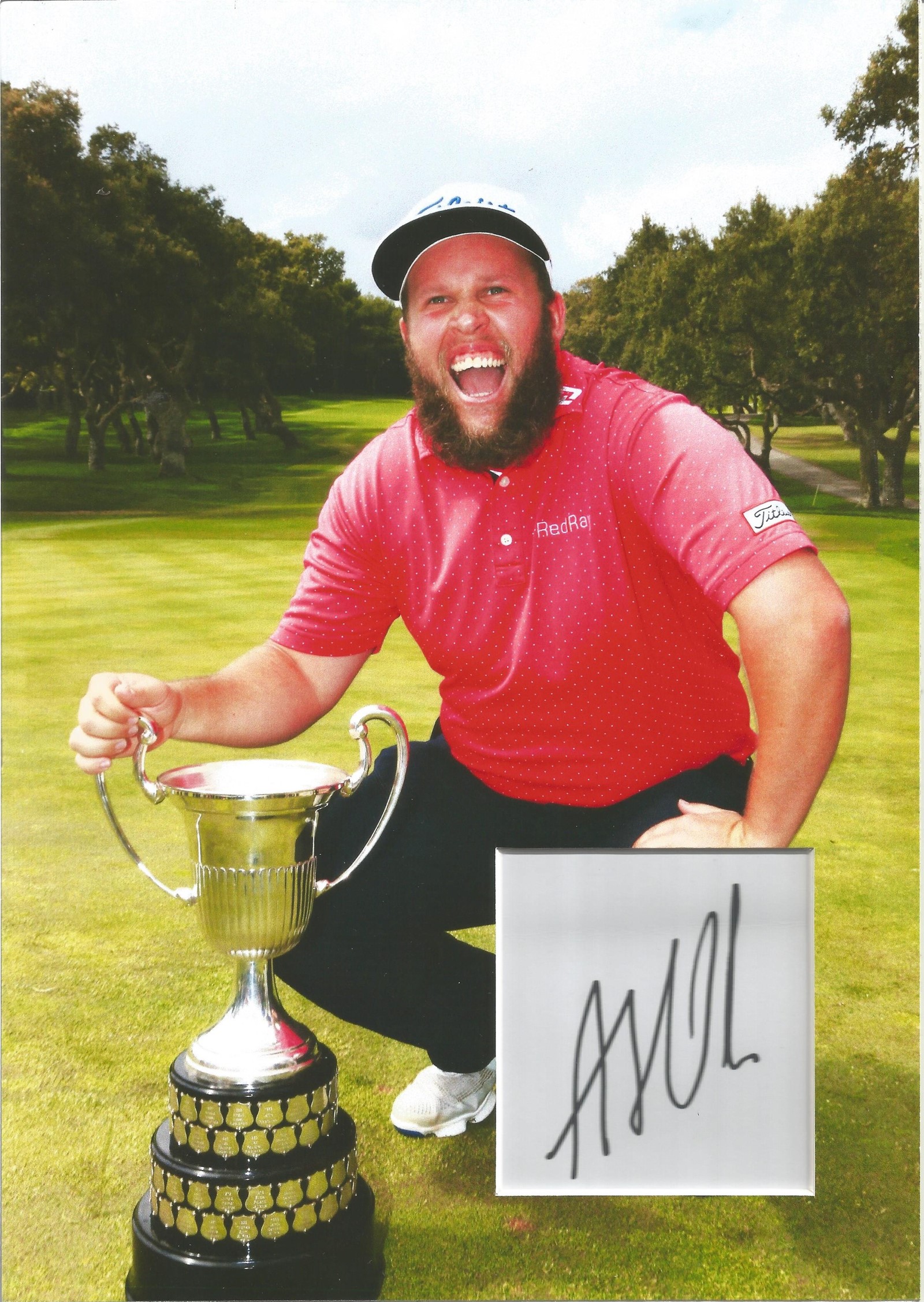 Golf Andrew Beef Johnston 12x8 mounted signature piece includes signed album page and superb