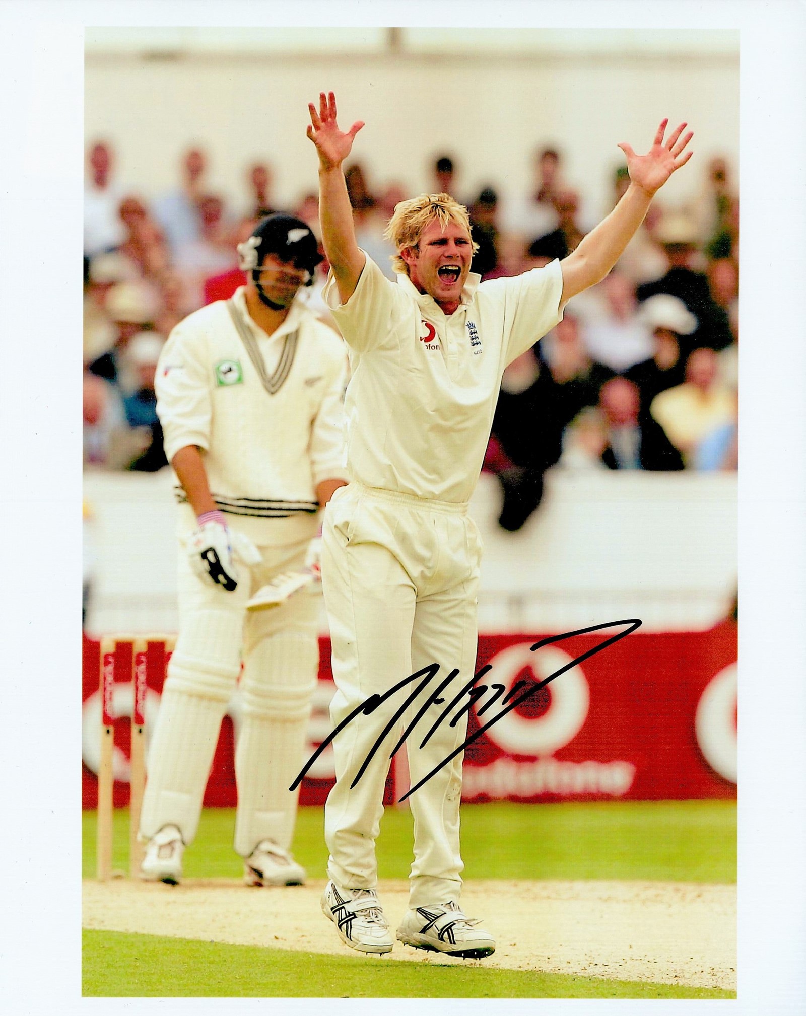 Cricket Mathew Hoggard signed England 10x8 colour photo. Matthew James Hoggard, MBE (born 31