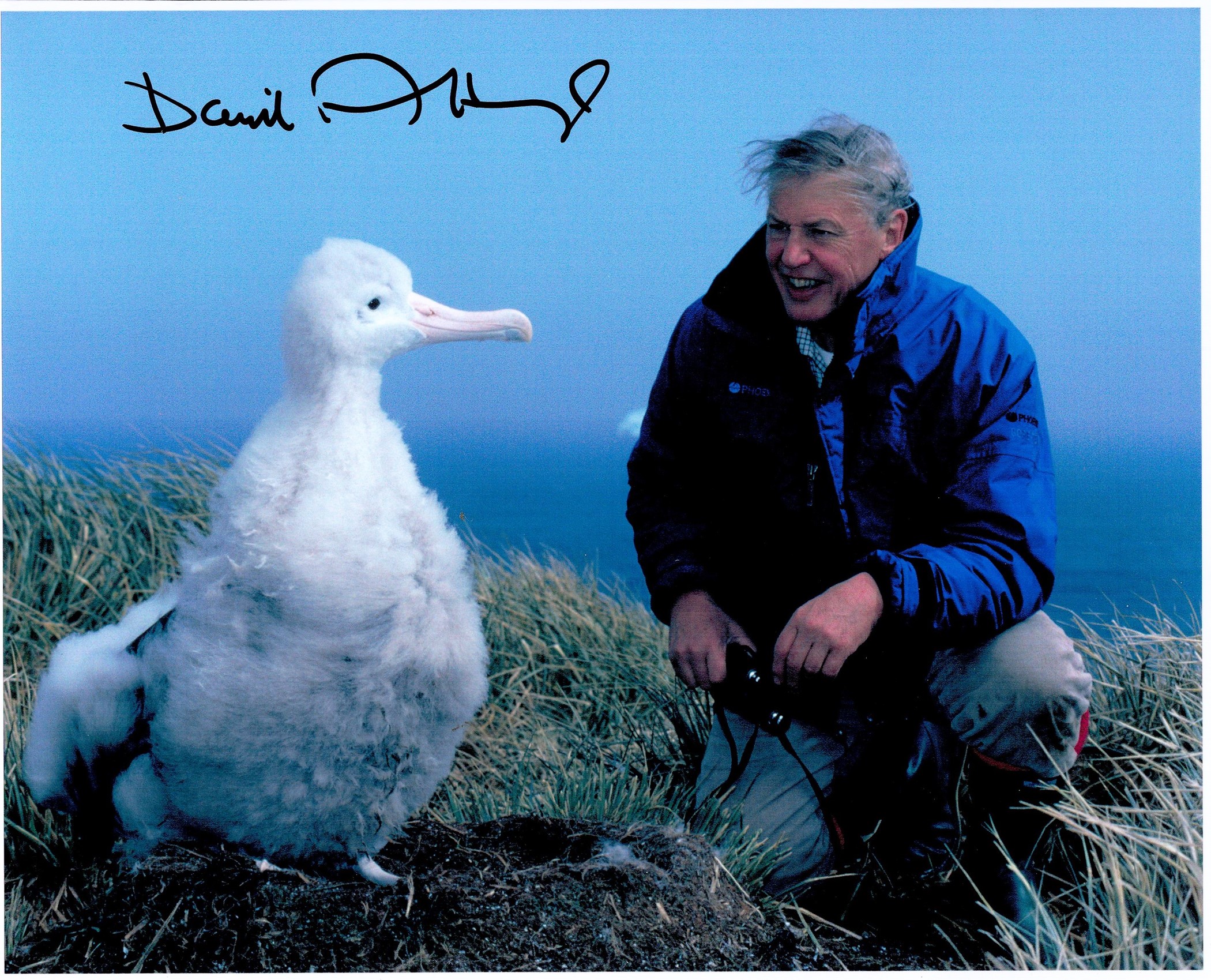 Sir David Attenborough signed 10x 8 inch photo in nature setting. Good condition. All autographs