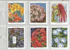 34 Wills Cigarette Cards in 6 Album Leafs Garden Flowers New Varieties 2nd Series of 40, Plus a