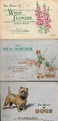 1930 Wills Cigarette cards, three albums all complete. Wild Flowers, Sea Shore, Dogs. Good