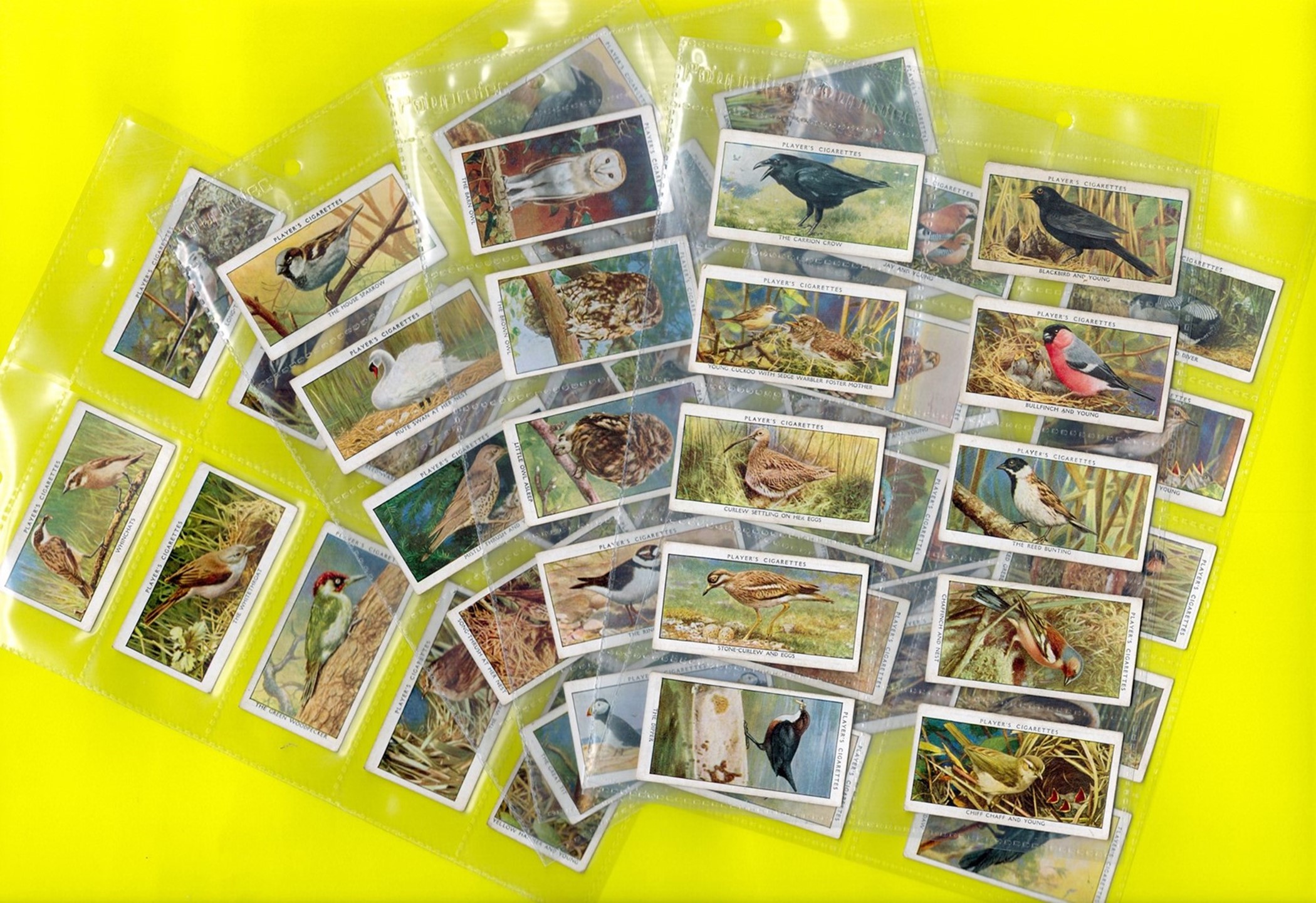 Set of Collectors Cards / Cigarette Cards Wild Birds A Series of 50 Cards (John Player & Sons)