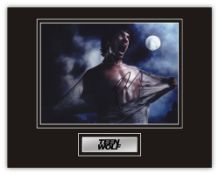 Stunning Display! Teen Wolf Tyler Posey hand signed professionally mounted display. This beautiful