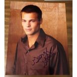 George Stults actor signed 10 x 8 inch Colour Photo. George Sheehy Stults born August 16, 1975, is