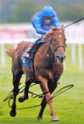 Horse Racing William Buick signed 12x8 colour photo. William Buick (born 22 July 1988) is a