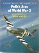 Polish Aces Of World War 2 PB Book By Robert Gretzyngier, Wojtek Matusiak B118. Good condition.