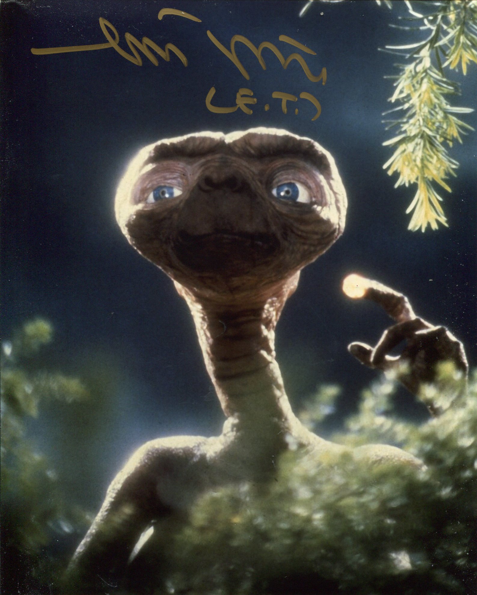 E.T The Extra Terrestrial, stunning 8x10 photo signed by E.T himself, Matthew De Meritt. Good