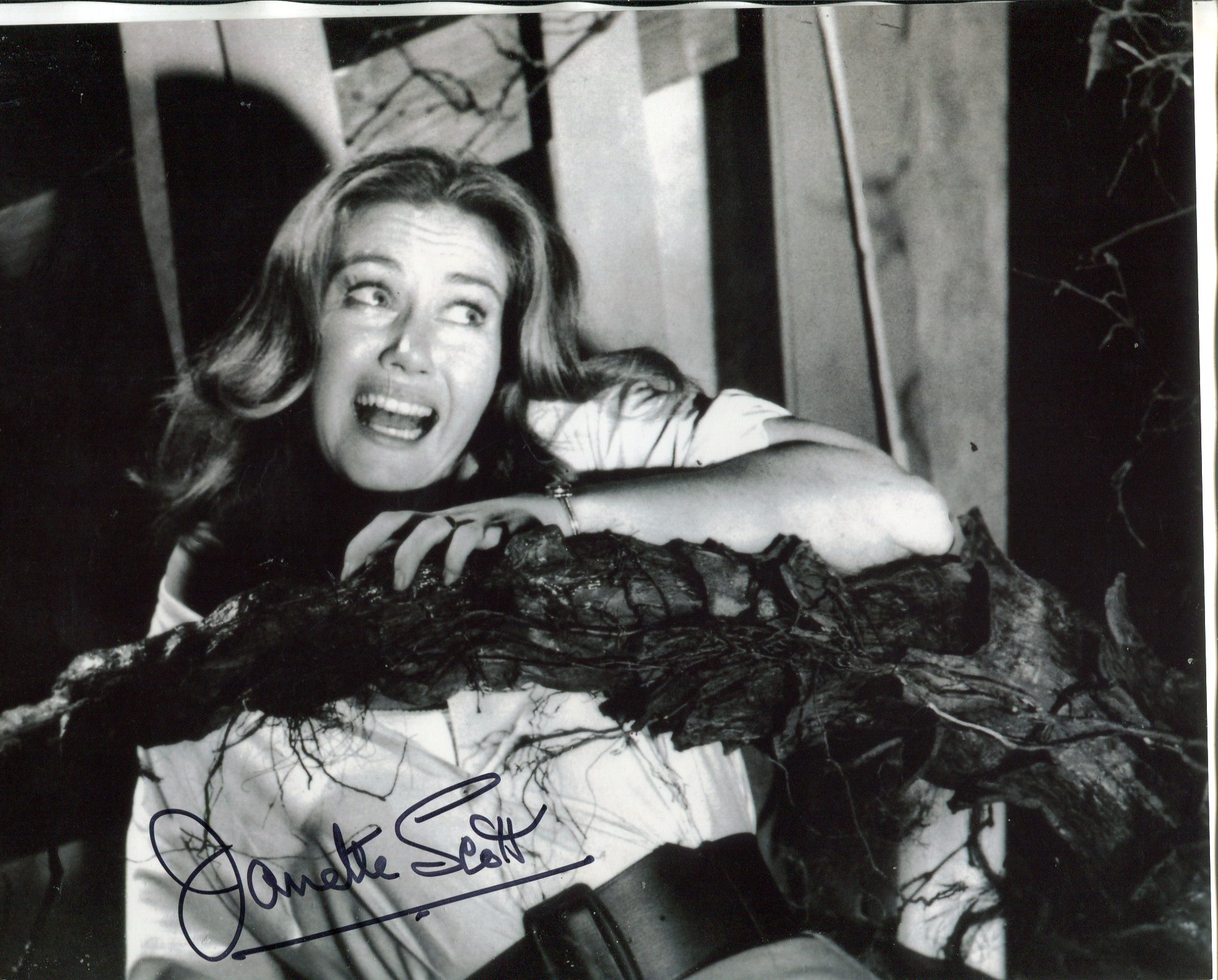 Day of the Triffids 8x10 movie photo signed by actress Janette Scott. Good condition Est.