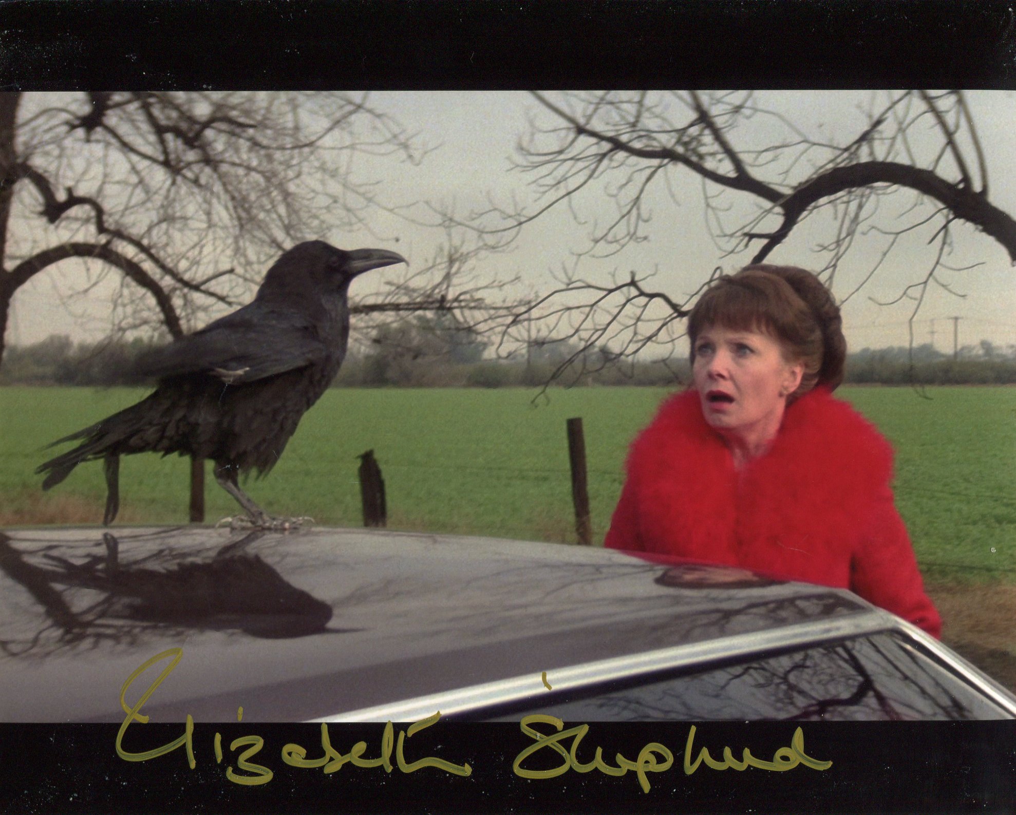 Omen II horror movie photo signed by actress Elizabeth Shepherd. Good condition Est.