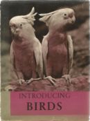 Introducing Birds by V J Stanek translated by George Theiner Hardback Book published by Spring Books