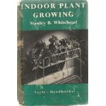 Indoor Plant Growing by Stanley B Whitehead First Edition 1954 Hardback Book published by W and G