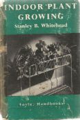 Indoor Plant Growing by Stanley B Whitehead First Edition 1954 Hardback Book published by W and G