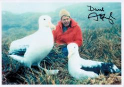 David Attenborough signed 8x6 colour photo. Sir David Frederick Attenborough, born 8 May 1926, is an