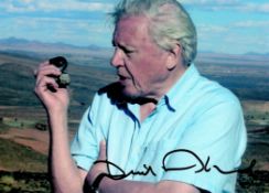 David Attenborough signed 7x5 colour photo. Sir David Frederick Attenborough, born 8 May 1926, is an