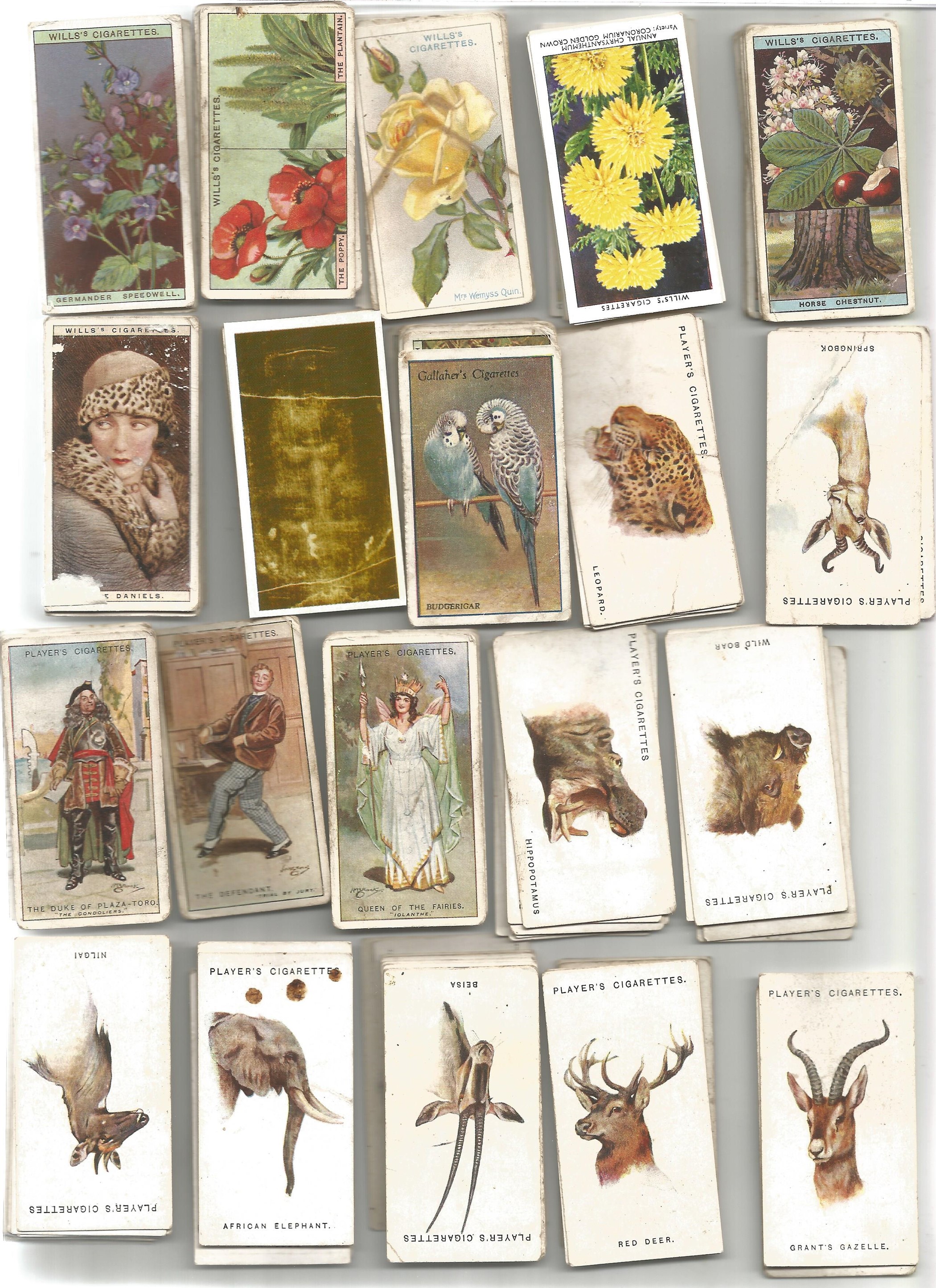 Cigarette card collection in tin. Some old may be hidden value. Good condition. We combine postage