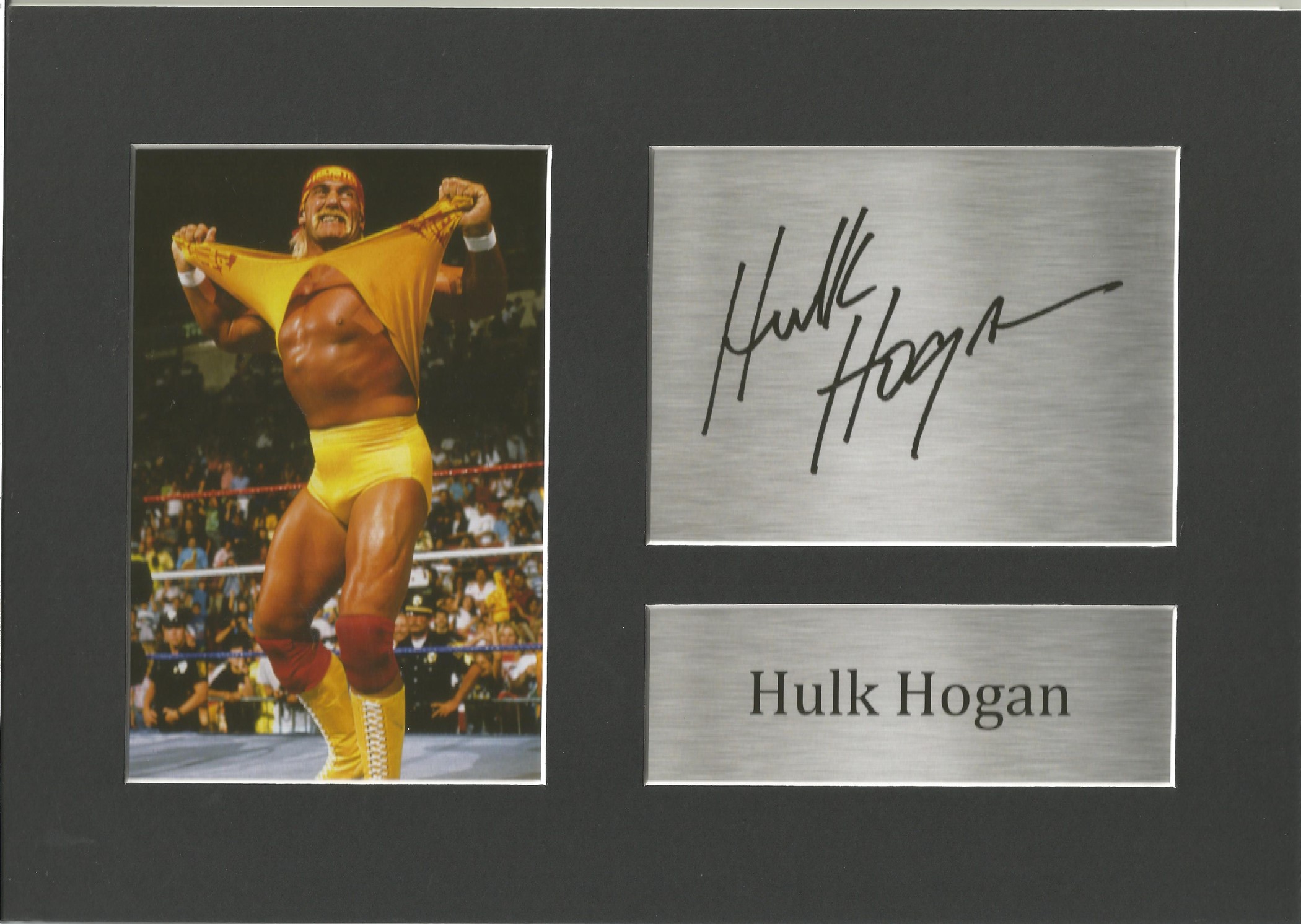 WWE, Hulk Hogan, 11x8 matted printed signature NOT HAND SIGNED piece. This beautifully presented