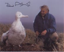 Sir David Attenborough signed 10 x 8 inch photo of the national treasure.Good condition. All