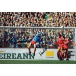 Autographed NEVILLE SOUTHALL 12 x 8 photo - Col, depicting the Welsh goalkeeper at full stretch