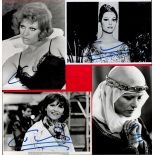 Claudia Cardinale signed photo collection. 3 included. Tunisian-born Italian film actress who