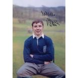 Autographed WILLIE HENDERSON 12 x 8 photo - Col, depicting the Scotland forward posing for