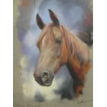 Richard Wise, study of a horse, 'Shulay Moonstone, signed and dated 'R Wise 01', watercolour and