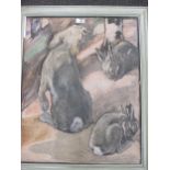 John Edwin Noble, Rabbits, pastel and watercolour, signed bottom left, 62.5 x 50cm
