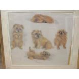 Davina OWEN (Modern British) Milly - studies of a Norfolk Terrier signed and dated 1986 pastel