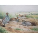 Peter Currington (British, 20th century), Partridges in a landscape, signed watercolour, 53.5 x 70cm