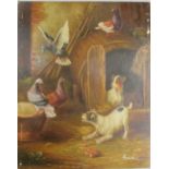 A pair of paintings depicting pigeons and dogs, signed oil on boards