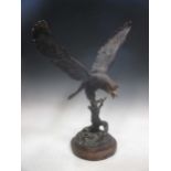A large bronze of an eagle, 63 x 54cm