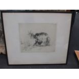 Winifred Austen (British, 1876-1964), Goats, signed in pencil 'Winifred Austen' etching, 22 x 27cm