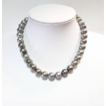 A single row of multicolour Tahitian south sea cultured pearls,