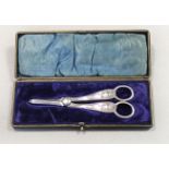A late Victorian cased pair of silver grape scissors,